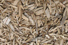 biomass boilers Tre Wyn
