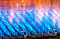 Tre Wyn gas fired boilers